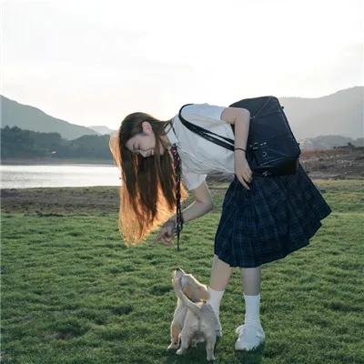 宫锁金枝