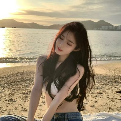 第一夫人的保镖
